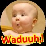 artist