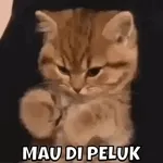                              hehe dekTOP STICKERS