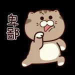 大腦短路