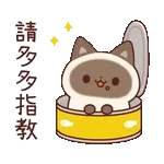 手牽手這輩子只愛你～～