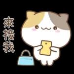 可愛貓貓❤貼心日常❤7