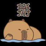 私貨動物園 咔屁大澡堂