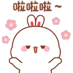一路通通！就怕决定啦！！