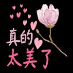 天氣真好 適合耍廢