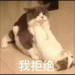 可爱猫仔贴纸-要唔可以抱下 