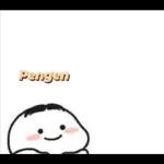 Pengen
