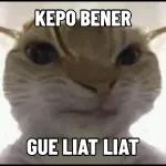 SEOFE SPOX STAFF ONLY GMX BAAADDAH!