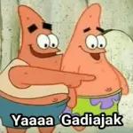 Patrick Sesadd