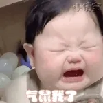早上好呀，各位靓仔靓女