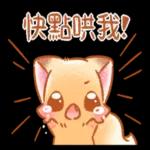 ♡小狐狸愛撒嬌 