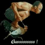 tolol