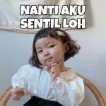 kontol