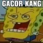 GACOR KANG
