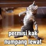 MENARIK CHER 15-3-40556587