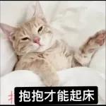 可爱猫仔贴纸-要唔可以抱下（2）