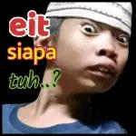 jgn didengerin dia lg kumquat
