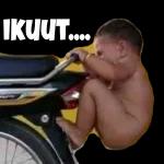 jgn didengerin dia lg kumquat