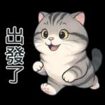 貓系列(4)-灰色虎斑貓