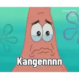                             BABI BUCINTOP STICKERS