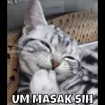 160 KHU UM MASAK SIH