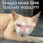 IYAIN AJA BLAR CEPET🤣