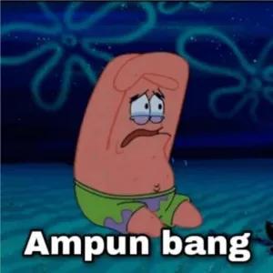 Je6iPl