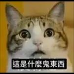 日常百貨