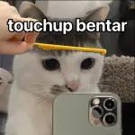 touchup bentar