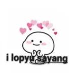 maap yang