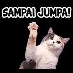 Gemoy banget sih kamu