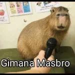 tolol