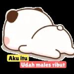 @convanf's
KOK BISA BANG