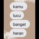 kamu lucu banget heran