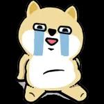 您的訂單已送達	請注意查收>>