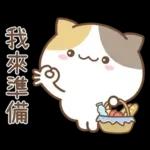 可愛貓貓❤貼心日常❤7