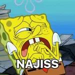  NAJISS