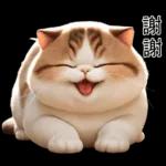可愛的小肥貓🐱 