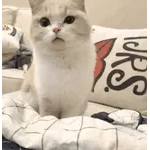 好事小小心