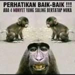 bacot