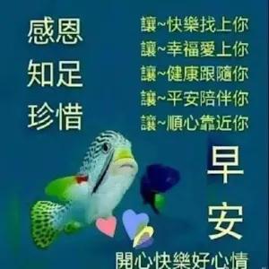 感謝知遇之情，祝你快樂每一天，幸福愛上你，健康圍繞你，平安陪伴你，願心常駐你 - getsticker.com