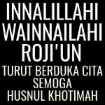 Gemoy banget sih kamu