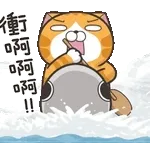 白爛-動態2025-12