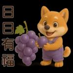 可愛柴犬⭐日常實用