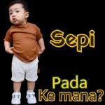 Selamat Pagi SEMOGA SEMUA ANGGOTA GRUP SELALU SEHAT & BAHAGIA amin.