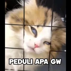 nGQbGi