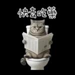 廁所貓貓✩別吵!我在用力✩