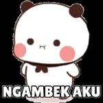 Dudu Putih Bucin