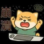 可愛柴犬⭐日常實用貼