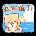 台風天要注意安全啊 🌀