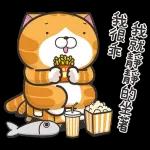 lazycat-24d